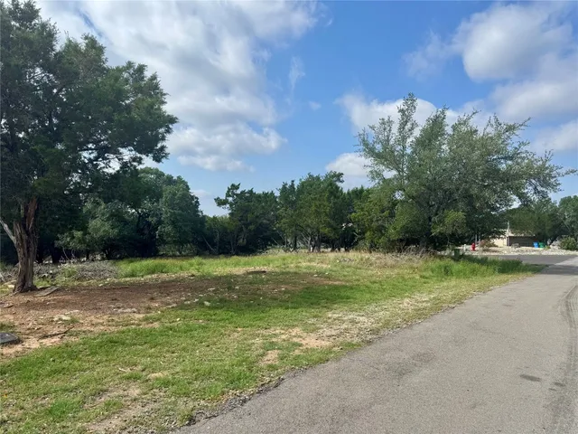 a view of backyard with green space