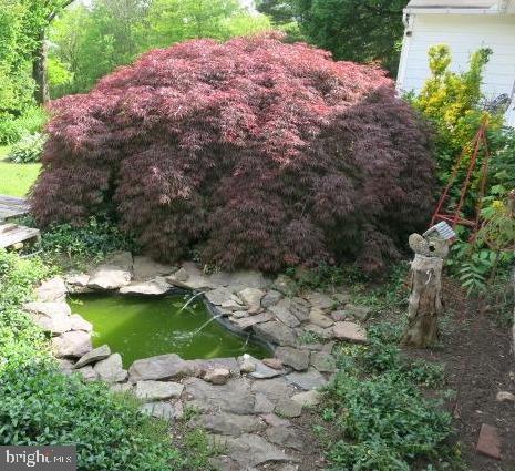 2103 Upper Stump Road Perkasie, PA 18944 - Photo 32 of 41 Koi Pond