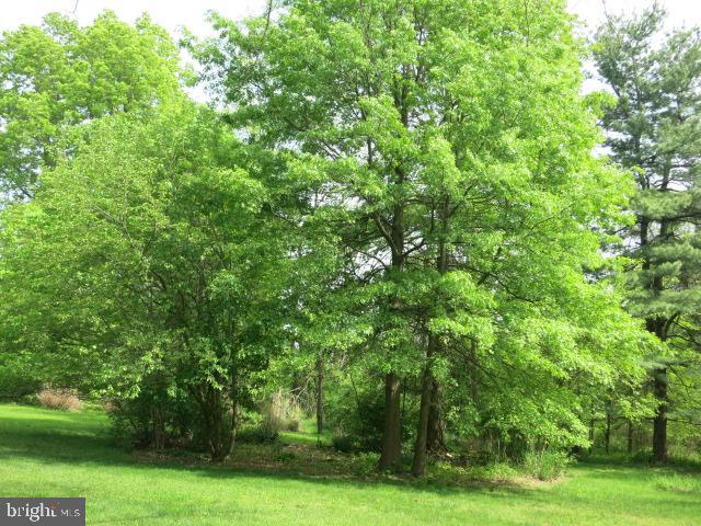 2103 Upper Stump Road Perkasie, PA 18944 - Photo 34 of 41 Backyard