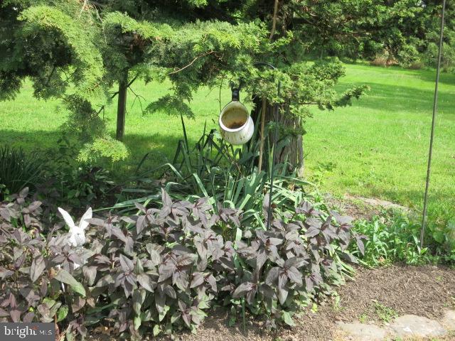 2103 Upper Stump Road Perkasie, PA 18944 - Photo 35 of 41 Plantings