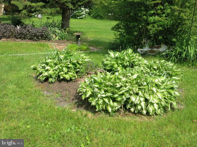 2103 Upper Stump Road Perkasie, PA 18944 - Photo 36 of 41 Plantings