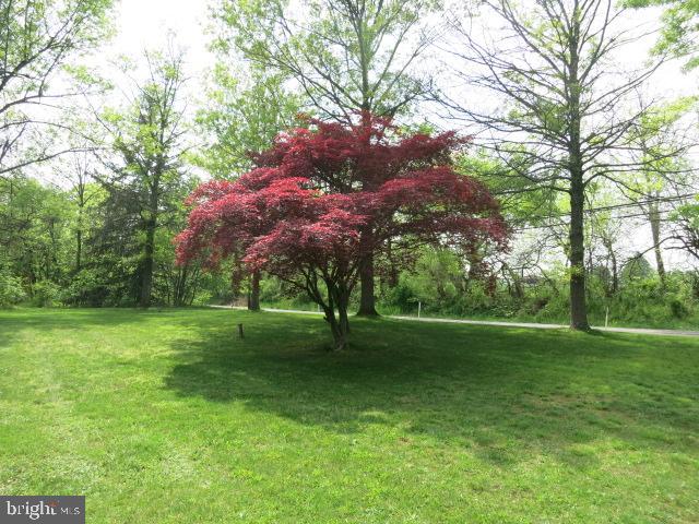 2103 Upper Stump Road Perkasie, PA 18944 - Photo 6 of 41 Front Yard - Red Maple