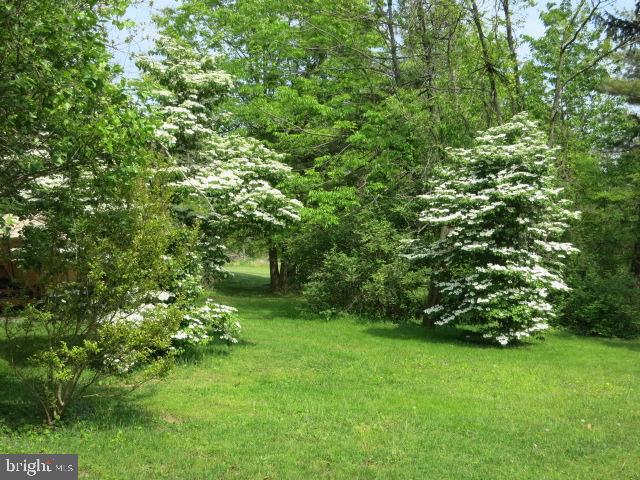 2103 Upper Stump Road Perkasie, PA 18944 - Photo 7 of 41 Backyard
