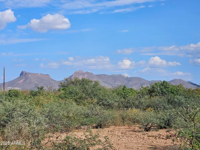 a view of a city with a mountain in the background