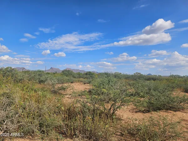 $5,000 | Tbd North La Espada Circle, Unit 2742, Douglas, AZ 85607