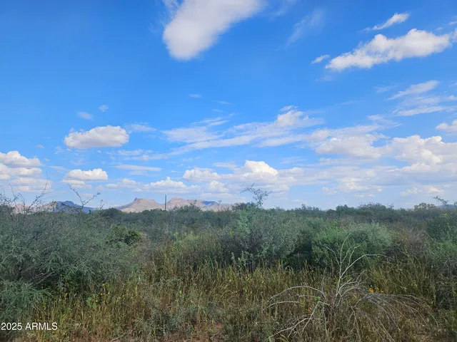 a view of a city with lush green forest