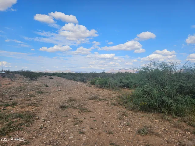 a view of a dry yard with wooden fence