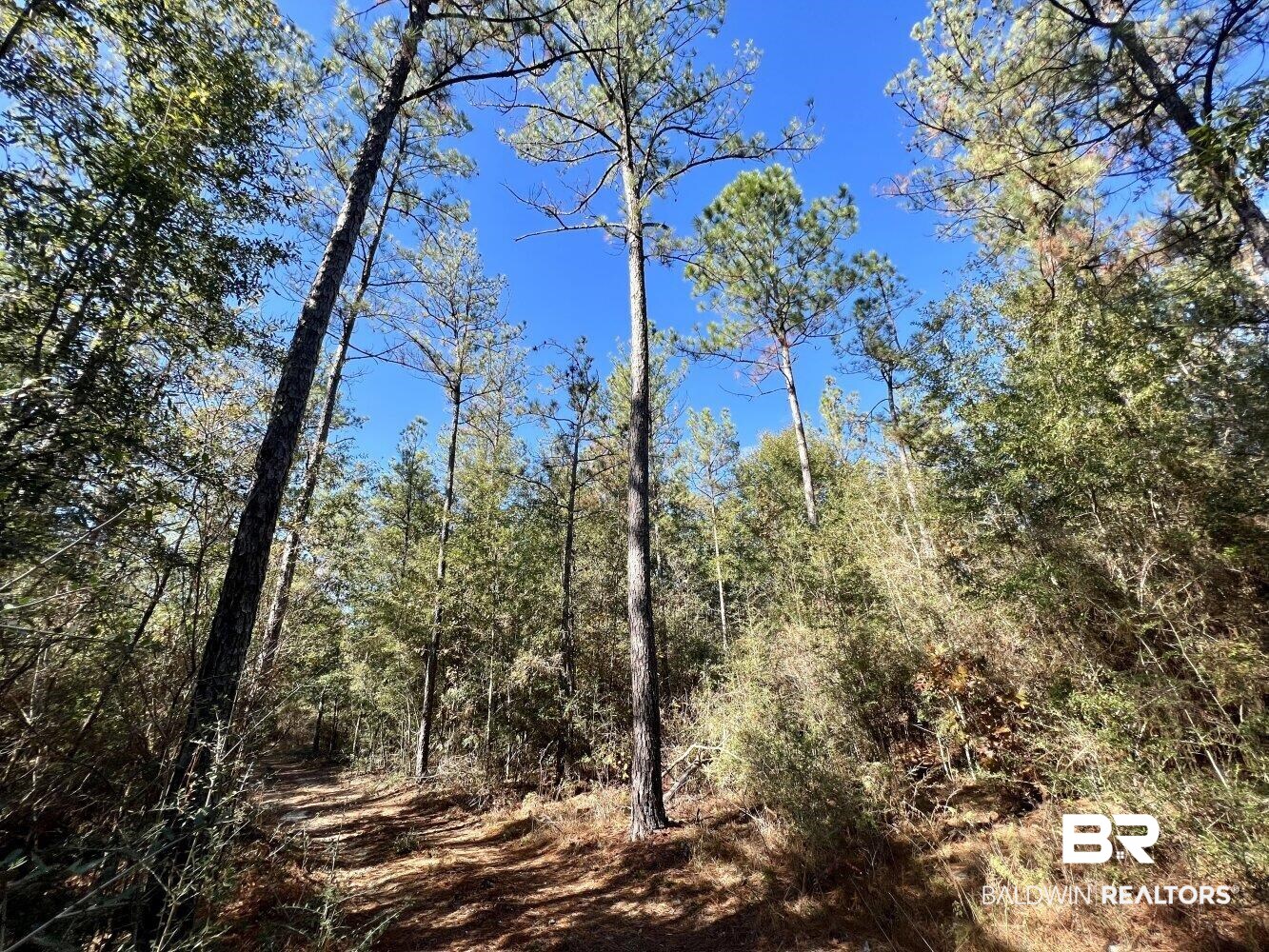 0 C C Road Chunchula, AL 36521 - Photo 13 of 27