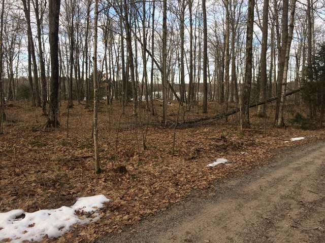 Off Hancock Lake Road Harshaw, WI 54529 - Photo 2 of 8 Gallery Image 2