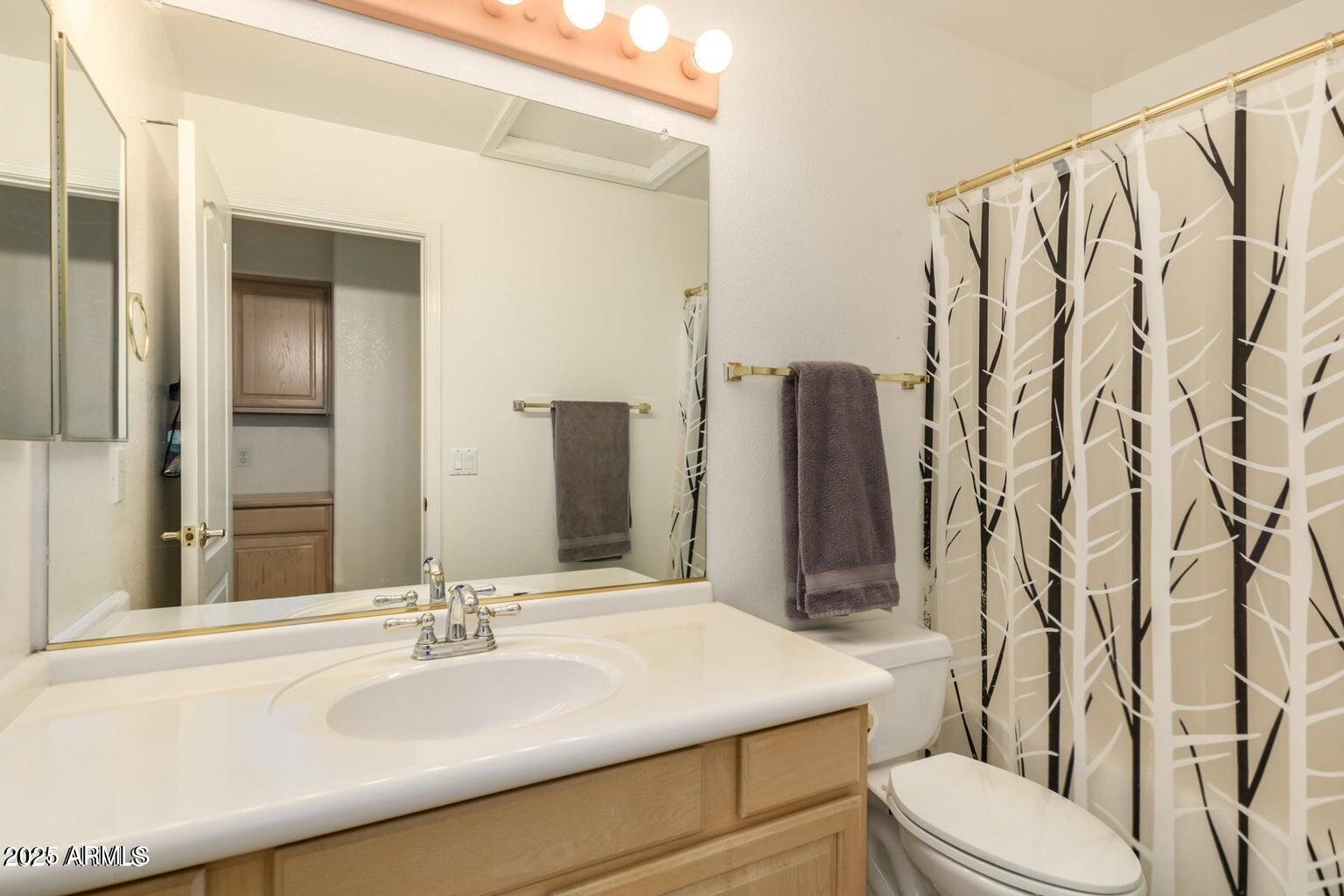 6230 West Irma Lane Glendale, AZ 85308 - Photo 4 of 21 a bathroom with a sink and toilet