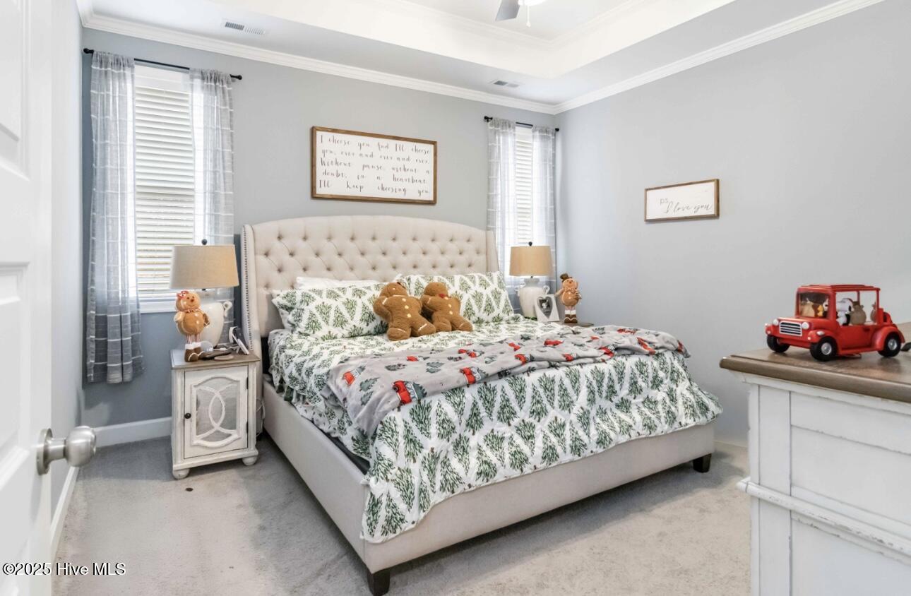 9735 Chapman Road Bailey, NC 27807 - Photo 13 of 31 Master Bedroom