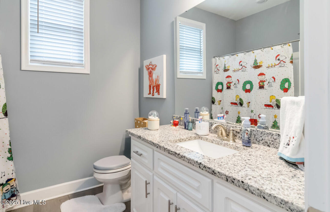 9735 Chapman Road Bailey, NC 27807 - Photo 22 of 31 Hall Bath