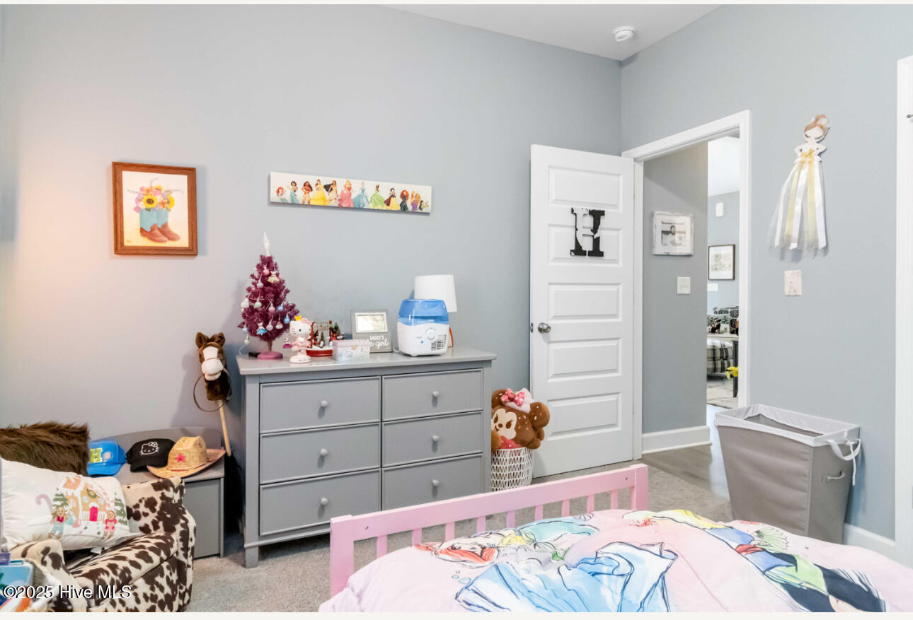 9735 Chapman Road Bailey, NC 27807 - Photo 24 of 31 IMG_6491