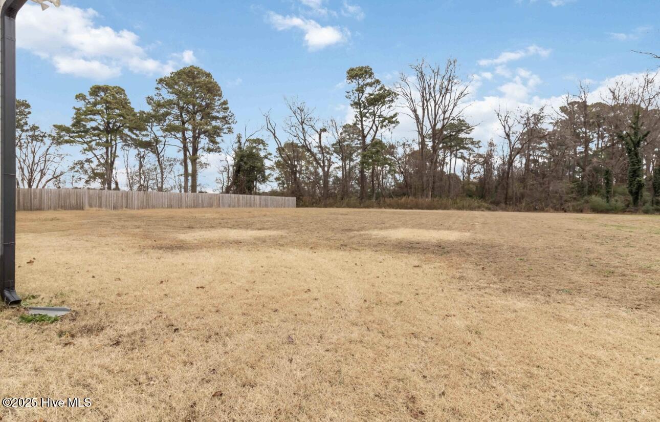 9735 Chapman Road Bailey, NC 27807 - Photo 27 of 31 IMG_6483