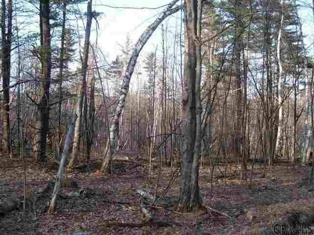 0 Will Jones Road Petersburgh, NY 12138 - Photo 1 of 4 Photo 1