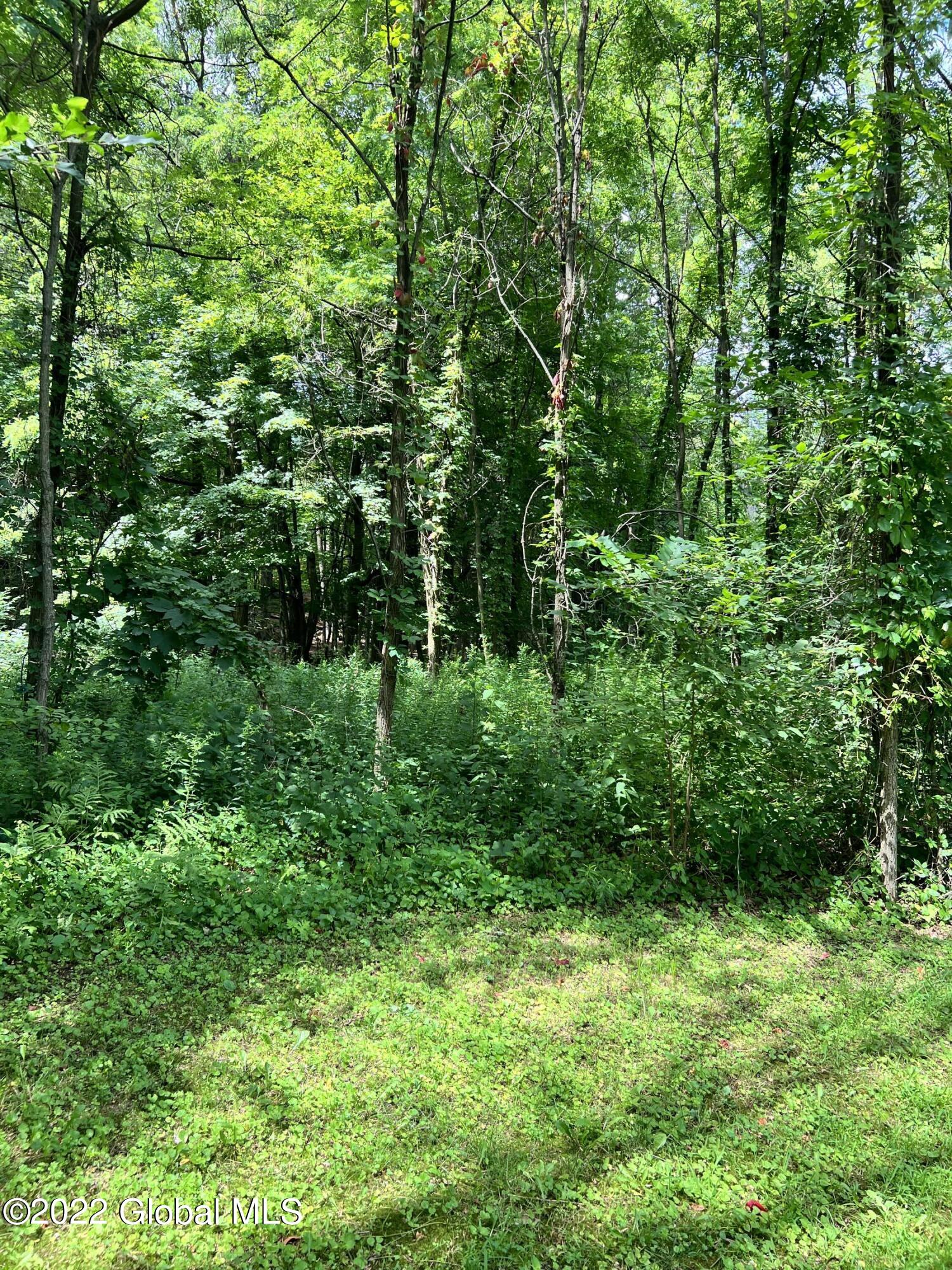 770 Corinth Road Queensbury, NY 12804 - Photo 8 of 47 A99A18AD-253C-427B-B237-912D4AD445A4