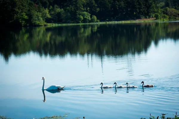 $569,900 | 3 Daisy Lane, Plymouth, MA 02360