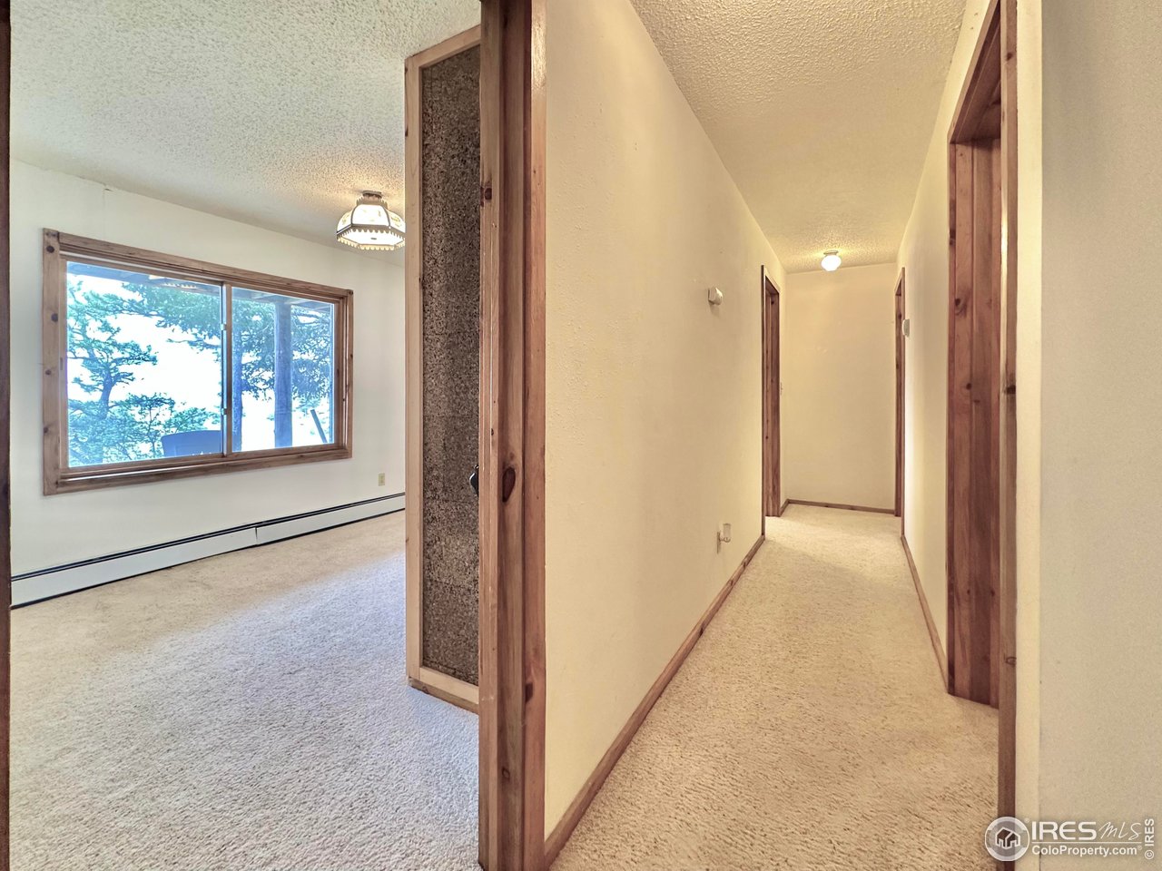 2004 Bonner Springs Ranch Road Laporte, CO 80535 - Photo 22 of 40 Bedroom 2, downstairs
