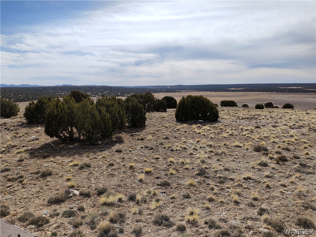 15 County Road Concho, AZ 85924 - Photo 41 of 93 Other