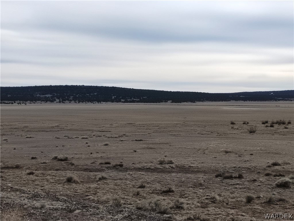 15 County Road Concho, AZ 85924 - Photo 42 of 93 Expansive open terrain under a wide sky, featuring distant treeline