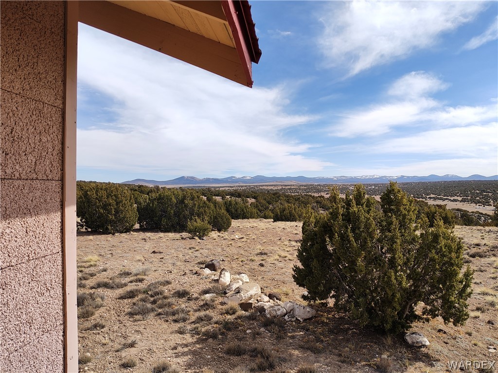 15 County Road Concho, AZ 85924 - Photo 44 of 93 Expansive outdoor landscape featuring distant mountains with snow-capped peaks, scattered evergreen trees, and a desert-like terrain