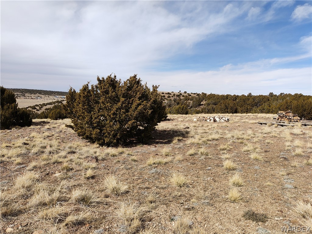 15 County Road Concho, AZ 85924 - Photo 50 of 93 Expansive undeveloped terrain with natural vegetation and distant rolling hills