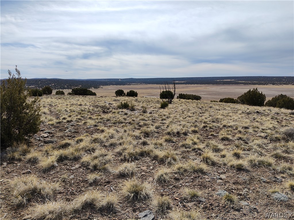 15 County Road Concho, AZ 85924 - Photo 51 of 93 Expansive undeveloped land featuring natural terrain with scattered native grasses and low-lying brush