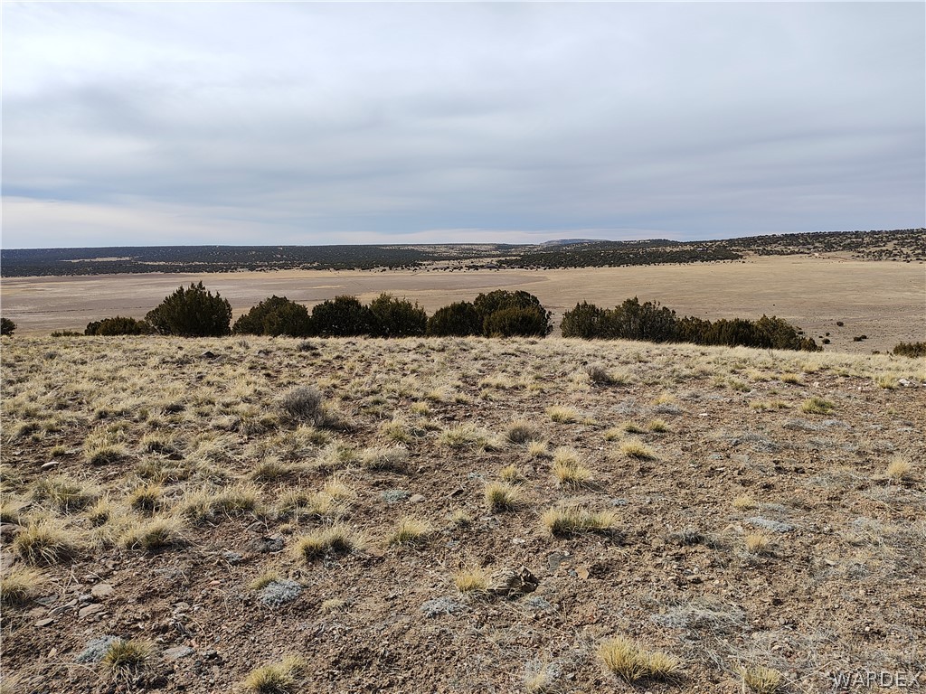 15 County Road Concho, AZ 85924 - Photo 52 of 93 Expansive land parcel featuring natural desert vegetation, distant rolling hills, and a clear horizon