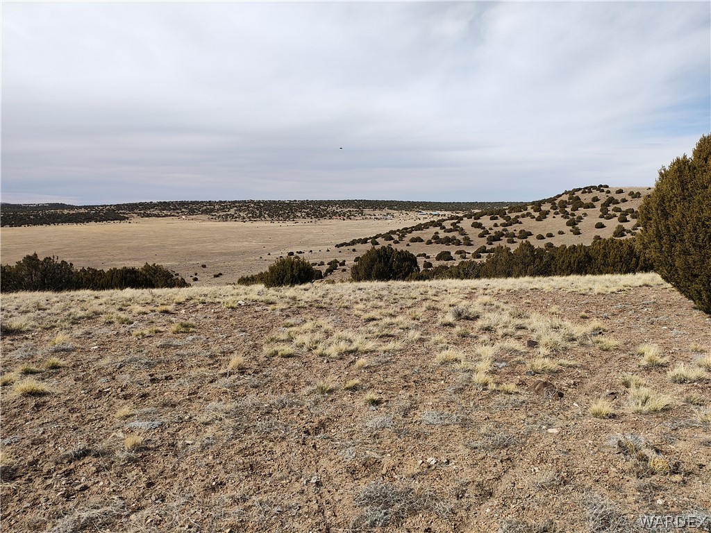 15 County Road Concho, AZ 85924 - Photo 53 of 93 Other