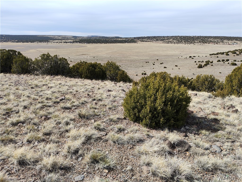 15 County Road Concho, AZ 85924 - Photo 54 of 93 Expansive open terrain featuring natural vegetation and scattered low-lying shrubs