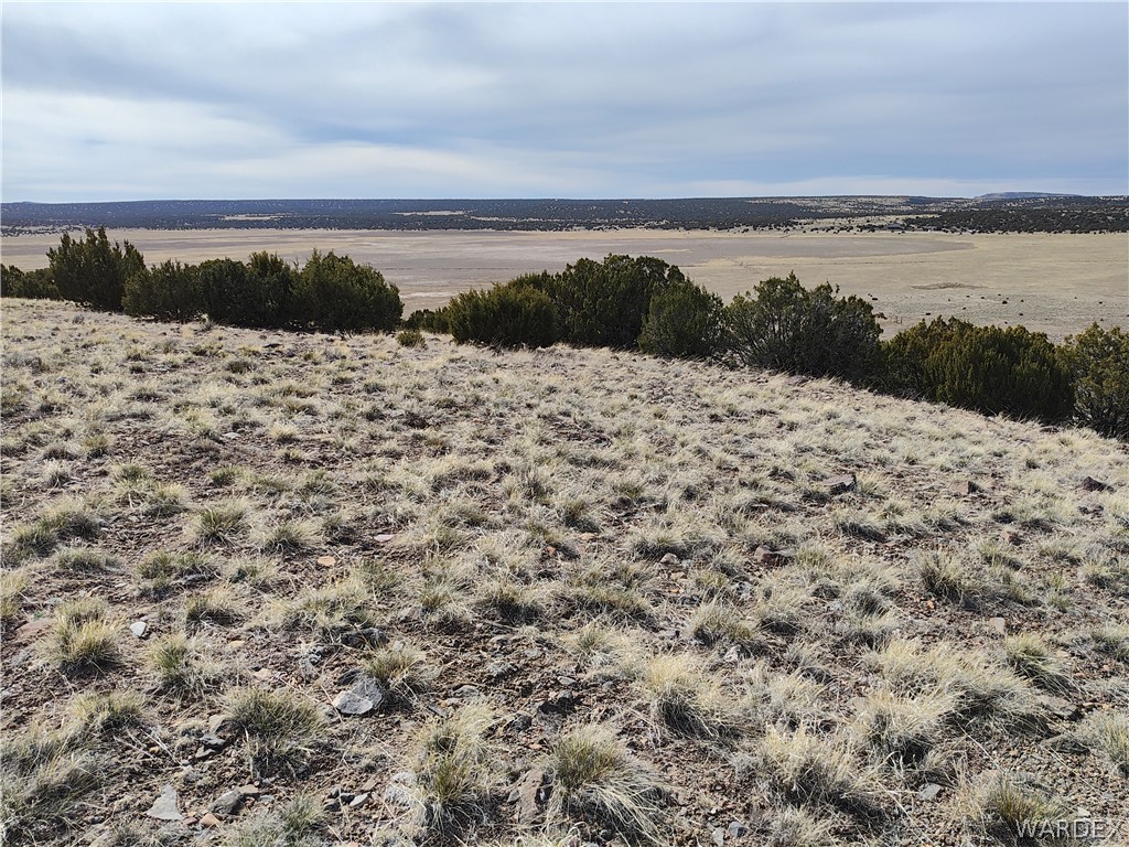 15 County Road Concho, AZ 85924 - Photo 55 of 93 Expansive land parcel featuring natural ground cover, scattered rocks, and a row of evergreen shrubs at the horizon