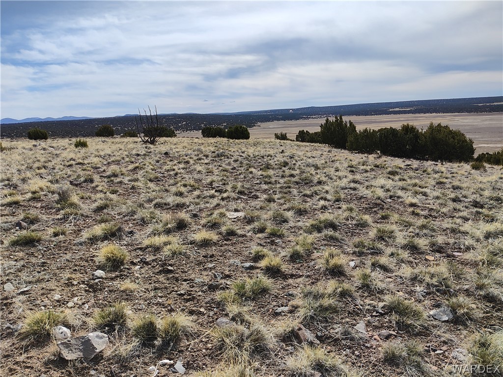 15 County Road Concho, AZ 85924 - Photo 56 of 93 Other