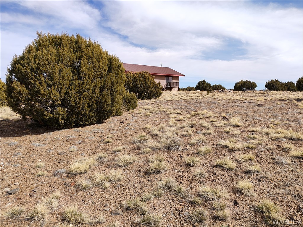 15 County Road Concho, AZ 85924 - Photo 57 of 93 Expansive undeveloped land featuring natural shrubbery and scattered grasses, with a residential structure visible in the background