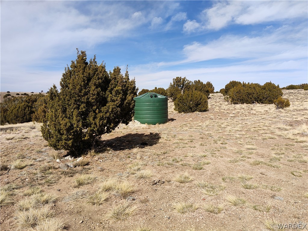 15 County Road Concho, AZ 85924 - Photo 59 of 93 Expansive land parcel featuring natural shrubbery and a large green water tank