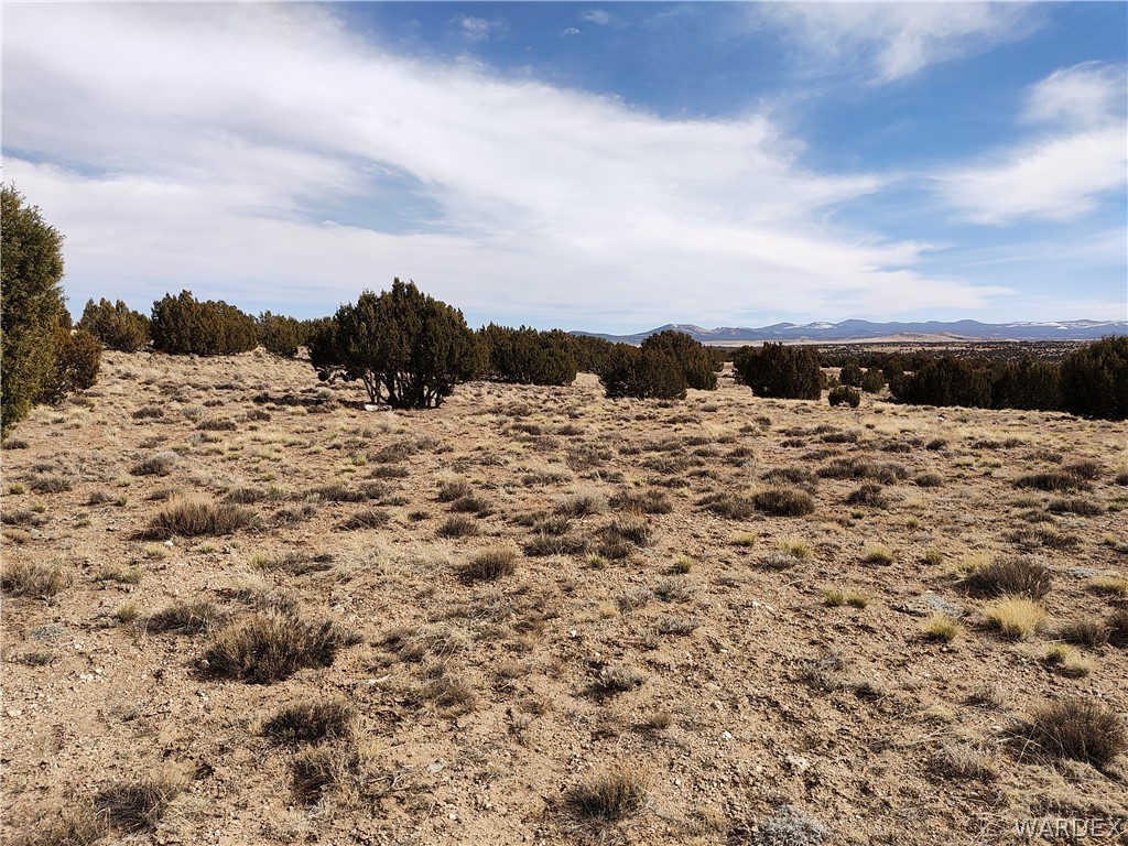 15 County Road Concho, AZ 85924 - Photo 60 of 93 Other