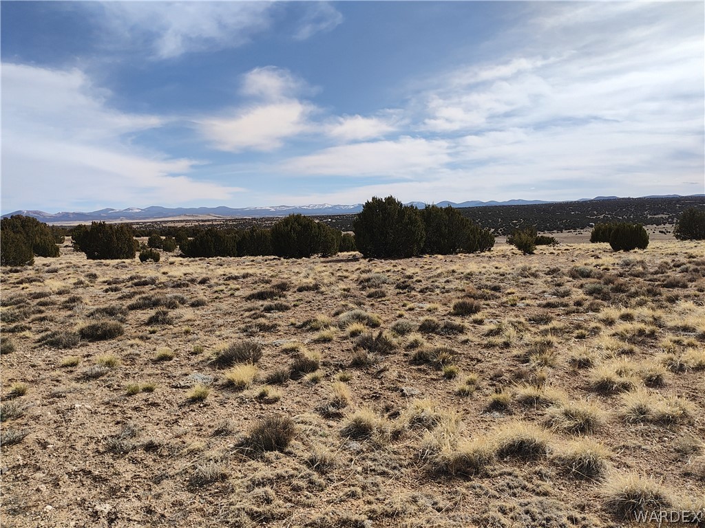 15 County Road Concho, AZ 85924 - Photo 61 of 93 Expansive open land featuring natural vegetation and distant mountain ranges