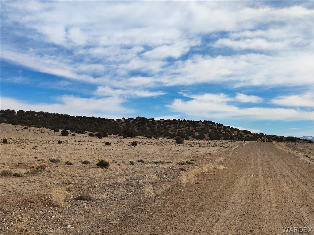 15 County Road Concho, AZ 85924 - Photo 79 of 93 Expansive undeveloped land featuring a natural dirt road, scattered low-lying vegetation, and a distant tree line