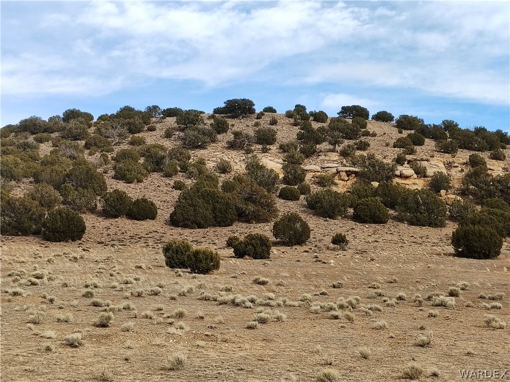 15 County Road Concho, AZ 85924 - Photo 80 of 93 Expansive natural landscape featuring varied terrain with a mix of arid groundcover and numerous mature evergreen shrubs