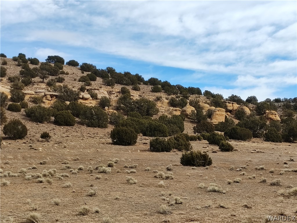 15 County Road Concho, AZ 85924 - Photo 81 of 93 Expansive natural landscape featuring rolling terrain and indigenous vegetation