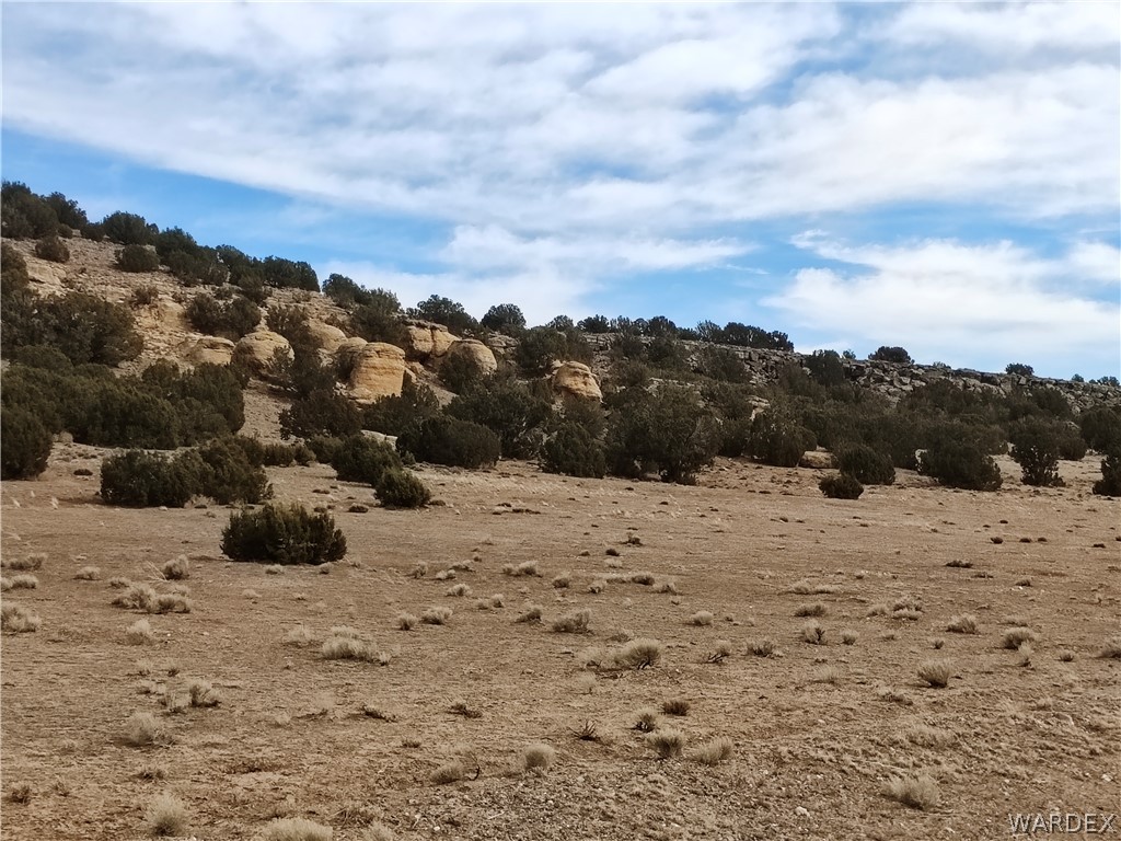 15 County Road Concho, AZ 85924 - Photo 82 of 93 Expansive desert landscape with a gradual incline, featuring scattered low-lying shrubs