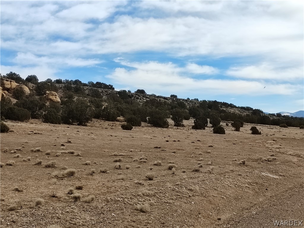 15 County Road Concho, AZ 85924 - Photo 83 of 93 Expansive natural terrain featuring sparse vegetation, a rising hillside, and scattered rock formations
