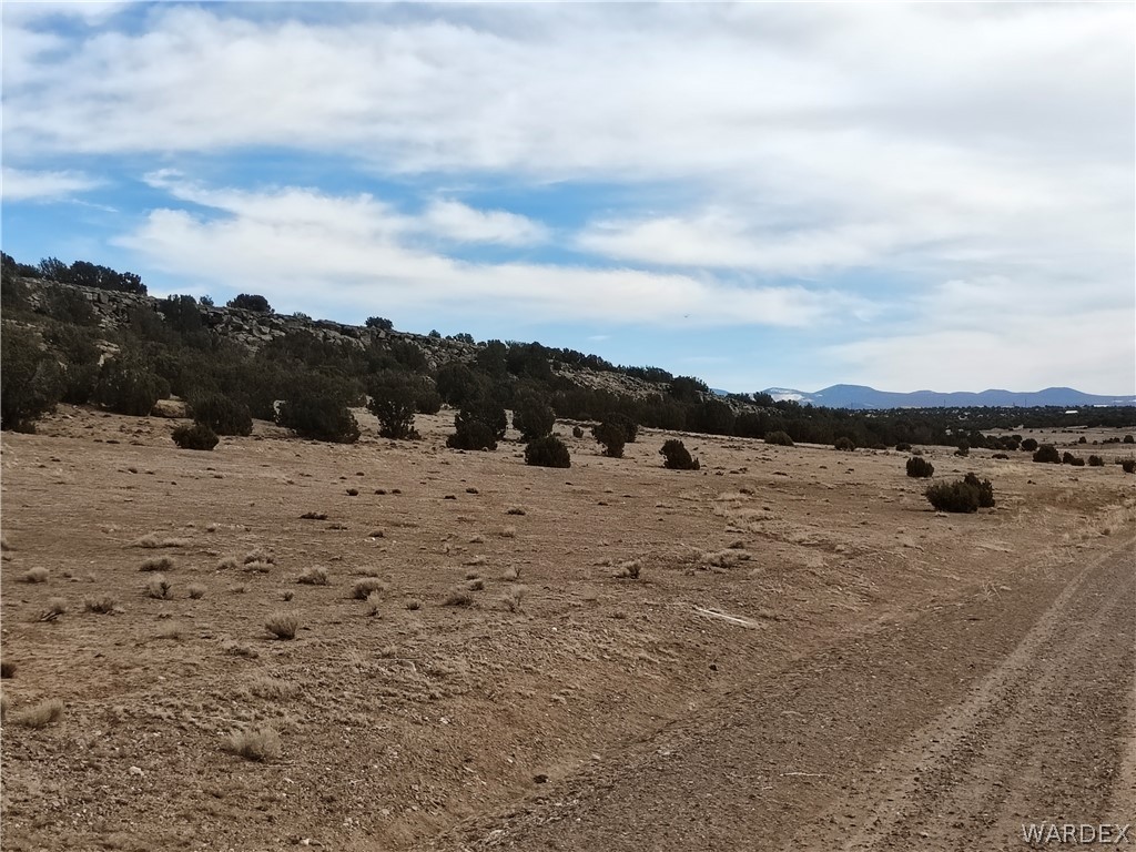 15 County Road Concho, AZ 85924 - Photo 84 of 93 Expansive undeveloped land featuring natural terrain and distant mountains