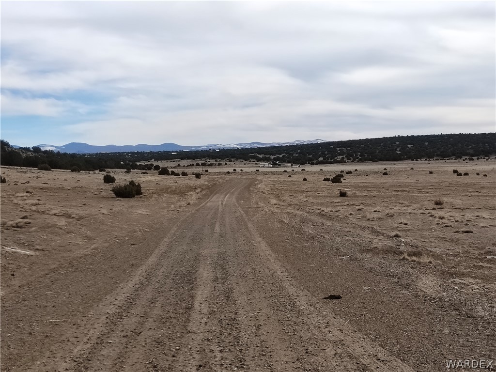 15 County Road Concho, AZ 85924 - Photo 85 of 93 Other