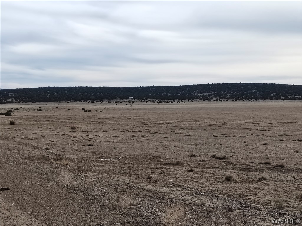 15 County Road Concho, AZ 85924 - Photo 86 of 93 Expansive, level terrain featuring a distant tree line