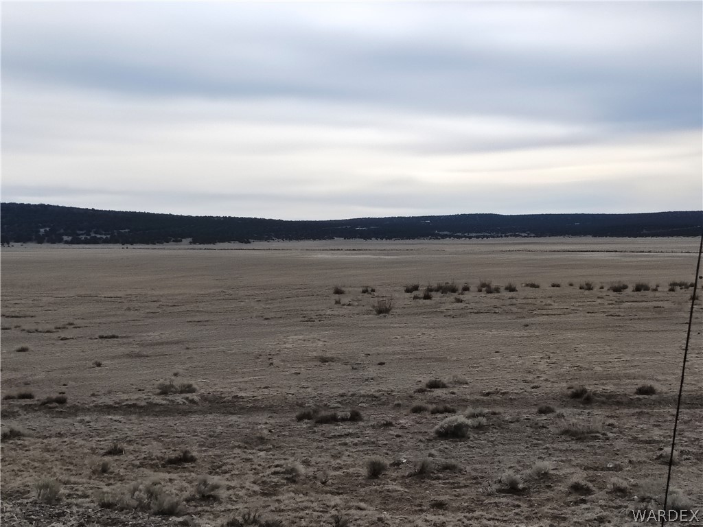 15 County Road Concho, AZ 85924 - Photo 87 of 93 Expansive land parcel featuring natural ground cover, distant treeline, and open sky