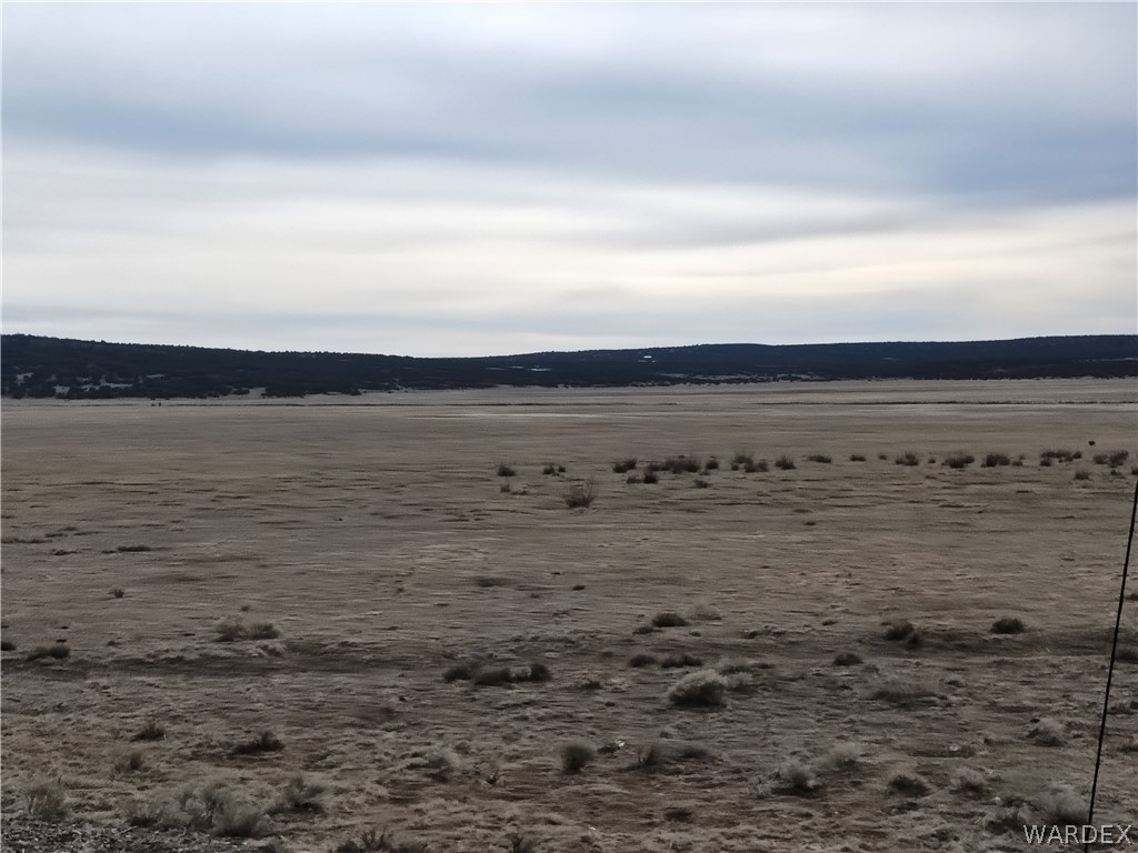 15 County Road Concho, AZ 85924 - Photo 88 of 93 Expansive open landscape with natural, low-lying vegetation under a broad sky