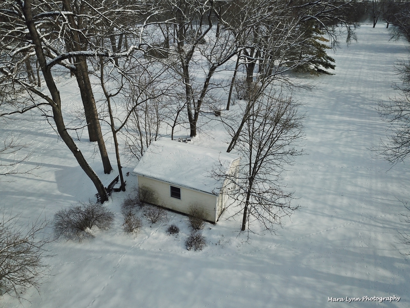6N353 State Rte 31 St. Charles, IL 60175 - Photo 122 of 124 a view of a yard with a tree
