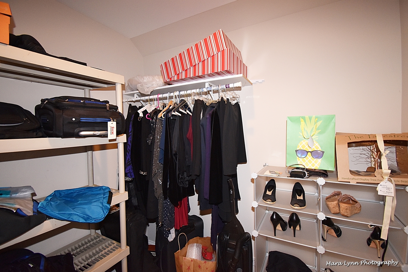 6N353 State Rte 31 St. Charles, IL 60175 - Photo 44 of 124 a view of walk in closet with clothes and shoes