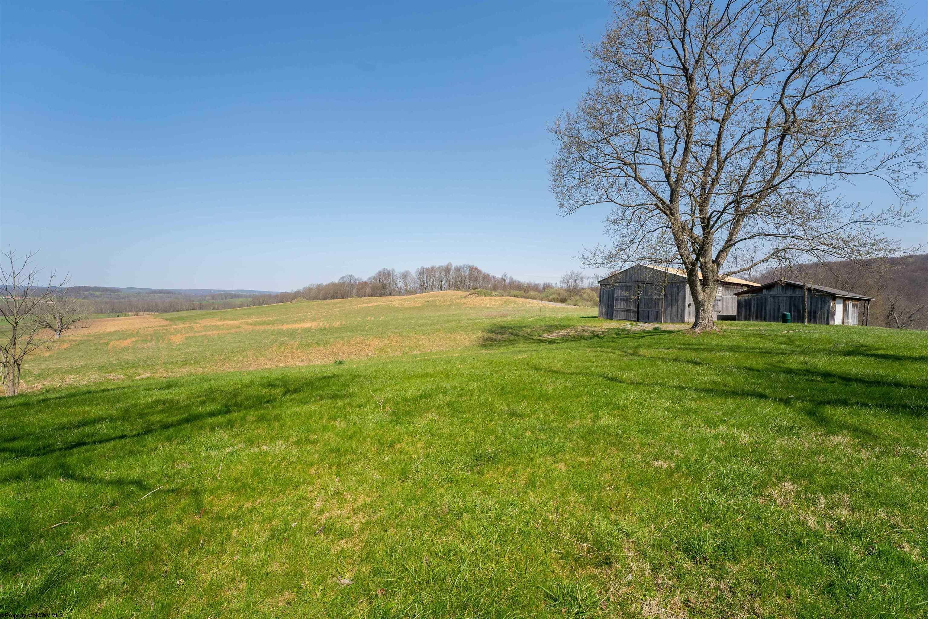 303 Hudson Mill Road Albright, WV 26519 - Photo 29 of 42 Gallery Image 29