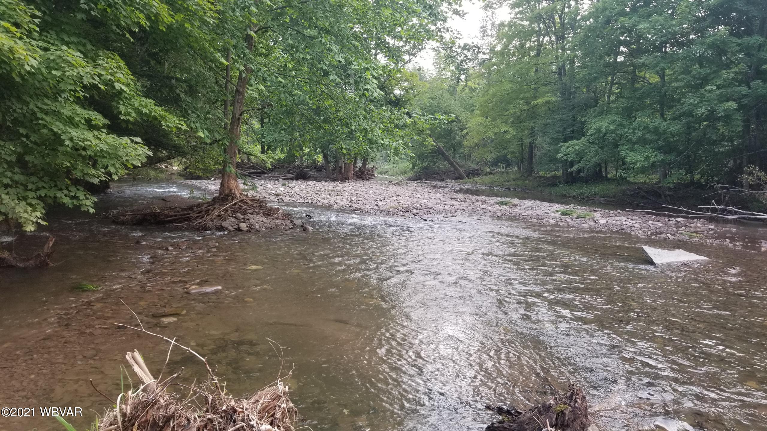 South Lick Creek Road Dushore, PA 18614 - Photo 14 of 18 Gallery Image 14